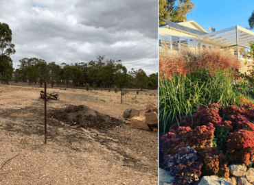 Landscaping-and-design-2