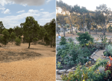 Landscaping-and-design-3