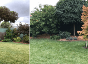 Landscaping-and-design-6
