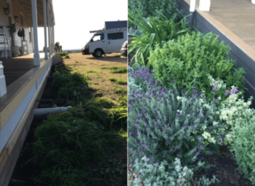 Landscaping-and-design-9