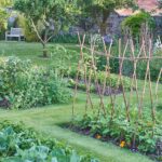 Creating a Low Maintenance Garden